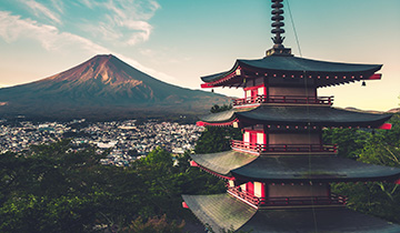 marque-tanoshi-japon